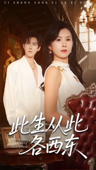 此生从此各西东（60集）赵宏伟＆刘梦奕 高清完整版