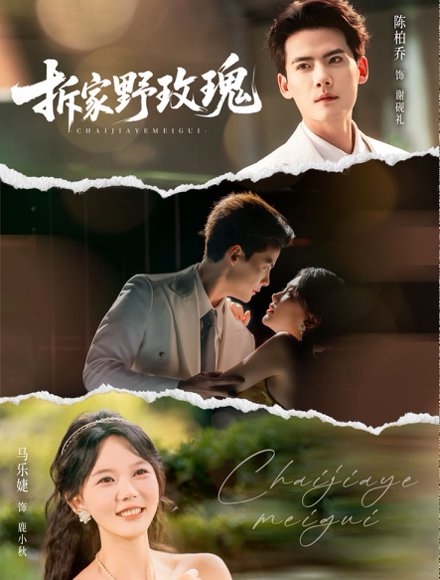 拆家野玫瑰（80集）陈刚＆马乐婕 高清完整版